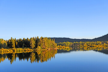 Reflecting Lake at Grand Teton with line of trees