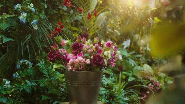 Flowers industry concept in a flowers shop taking video of special flowers very wonderful and other tropical plants around