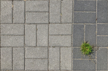 Top view of retro stone path overgrown by grass and herbs. Grunge stone texture of old weathered tiles with a plant growing in soil between tile pavement. Pavement backdrop with copy space.