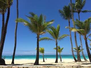 Fototapeta premium Punta Cana, Reública Dominicana