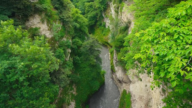 Mountain River in Narrow Canyon