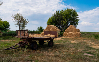 Agriculture farm field haystacks landscape. Rural landscape 