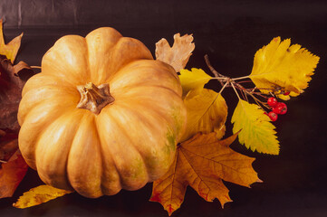 Autumn art composition - varied dried leaves, pumpkins, fruits, rowan berries on black background. Autumn, fall, halloween, thanksgiving day concept. Flat lay, top view, copy space. Autumn still life.