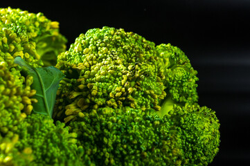 Large raw fresh head of broccoli cabbage on a black background, healthy vegetarian food, close-up