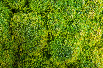 Top view of broccoli, texture of broccoli macro, healthy vegetarian food, close-up