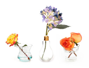 Glass vase with hydrangea in the form of a light bulb isolated on white background