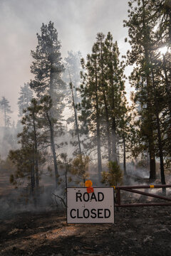 Road closed sign near forest in smoke 