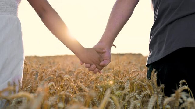 Closeup of couple holding hands of each other in wheat field at sunset. Sunset in the Background. High quality 4k footage