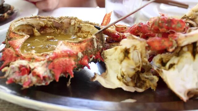 Eating fresh Spider crab