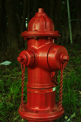 Fototapeta na wymiar Red American Fire Hydrant