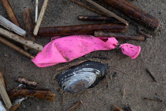 Deflated balloon and seashell