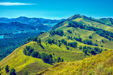 Summer landscape with hills and mountains of the Altai.