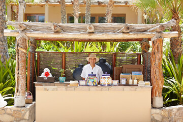 Portrait of staff person at pool bar at tropical resort