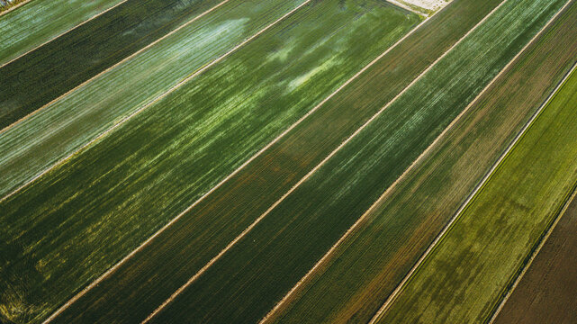 Green field, top view.