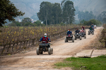 Fototapeta na wymiar Women and men on ATVs are enjoying a ride in a field