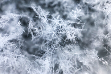 Macro image of snowflakes, black and white, copyspace. Beauty in severe nature, winter concept