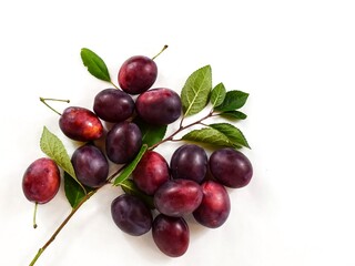 plums on a white background