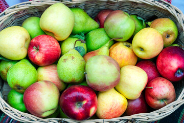red apples . Group of red apples. Healthy Foods. Organic Products.