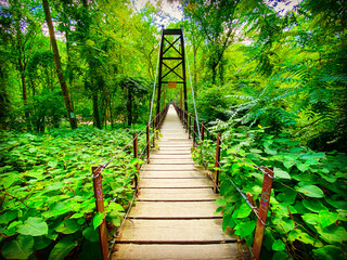 Obraz premium Patapsco Swinging Bridge in Maryland USA