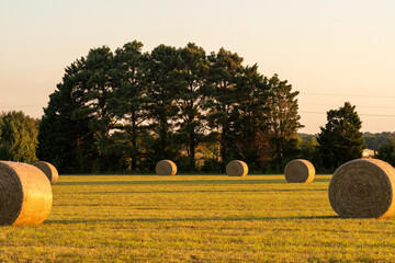 hay bales in the field at golden hour © John McAdorey