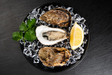 Frische Austern auf Eis