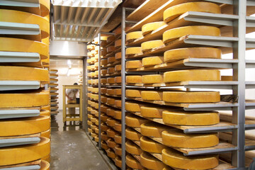 OBERSTAUFEN, GERMANY - 29 DEZ 2019: Cheese dairy warehouse with shelves stacked with rows of cheese