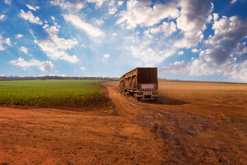 Fototapeta premium Truck on farmland countryside transporting sugar cane to the mill on a cloudy day. South America agricultural economy image concept.