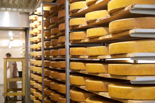 OBERSTAUFEN, GERMANY - 29 DEZ 2019: Cheese dairy warehouse with shelves stacked with rows of cheese