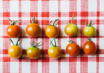 Multicolored Tomatoes on Red Pattern Background