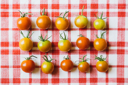 Colorful Little Tomatoes