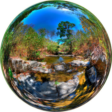 Petrified forest (Puyango)
Bosque petrificado de Puyango