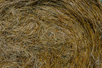 straw bales close up view