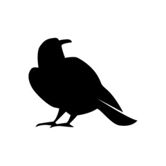 Hand draw silhouette crow isolated on white background. Raven halloween character. Vector flat illustration. design for greeting card,textile, poster, sale