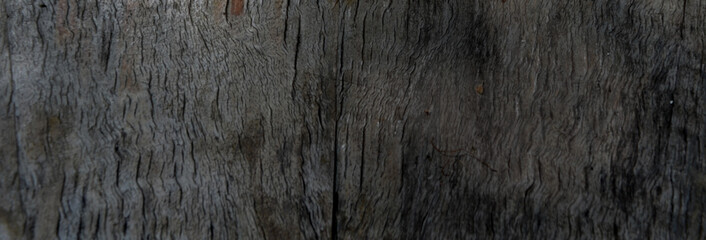 Wood texture background surface with old natural pattern. Walnut wood texture. Background wood
