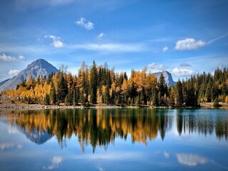 Fall Reflections in the Mountains