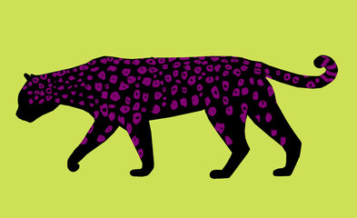 illustration of an leopard 