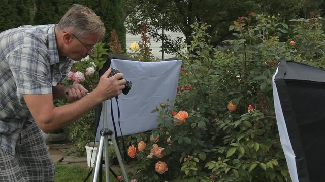 The photographer in the flower garden takes pictures of flowering rose, Spring sunny day. Around the huge flowering bushes