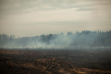 Smoke in the field. Smoke in the woods. A fire in nature.
