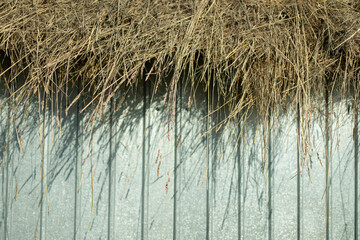Hay hangs over the fence. The snow is harvested in the summer.