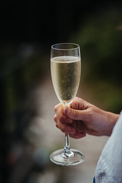 Cold champagne glass 