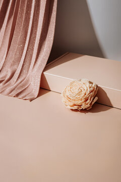 Pink background still life