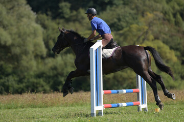 show jumping rider