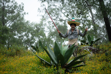 hiker in the mountain in adventure through sinaloa