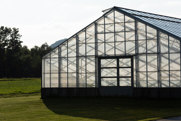Empty greenhouse in sunset light..