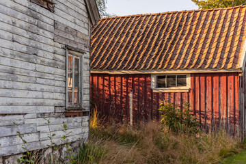 Old abandoned white wooden house and red barn..