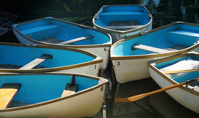 Six rowing boats with bright blue inners moored up together. © harlequin9
