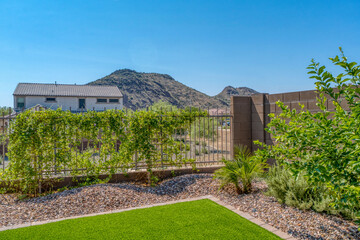 Arizona Back yard with a mountain view