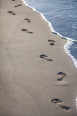 Footsteps in the warm sand.