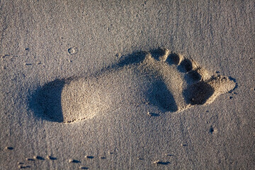 Fototapeta na wymiar Footsteps in the warm sand.