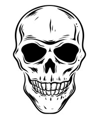 Skull hand drawn vector illustration, monochrome